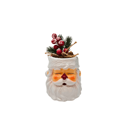 Pot Plant Santa With Mistletoe