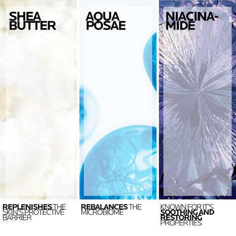 Shea Butter, Aqua Posae, and Niacinamide benefits for skincare highlighted in separate panels
