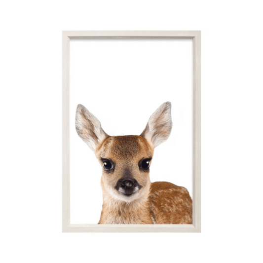 Splosh Deer Frame